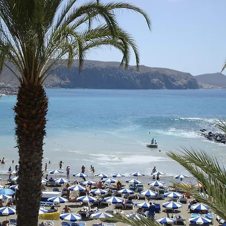 Shining Gold By Deihu Experiences Playa de las Américas